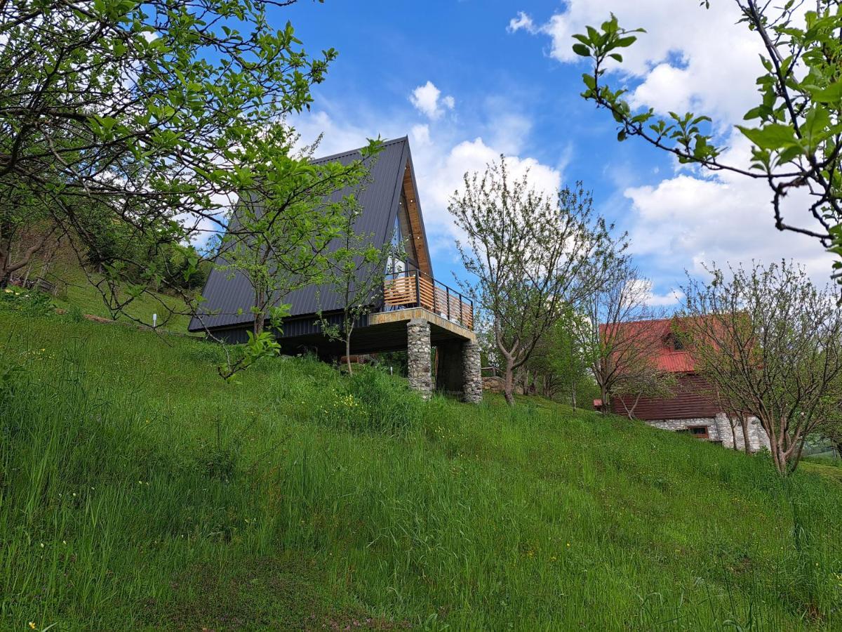 Fern Farm Tiny Home モイコヴァツ エクステリア 写真