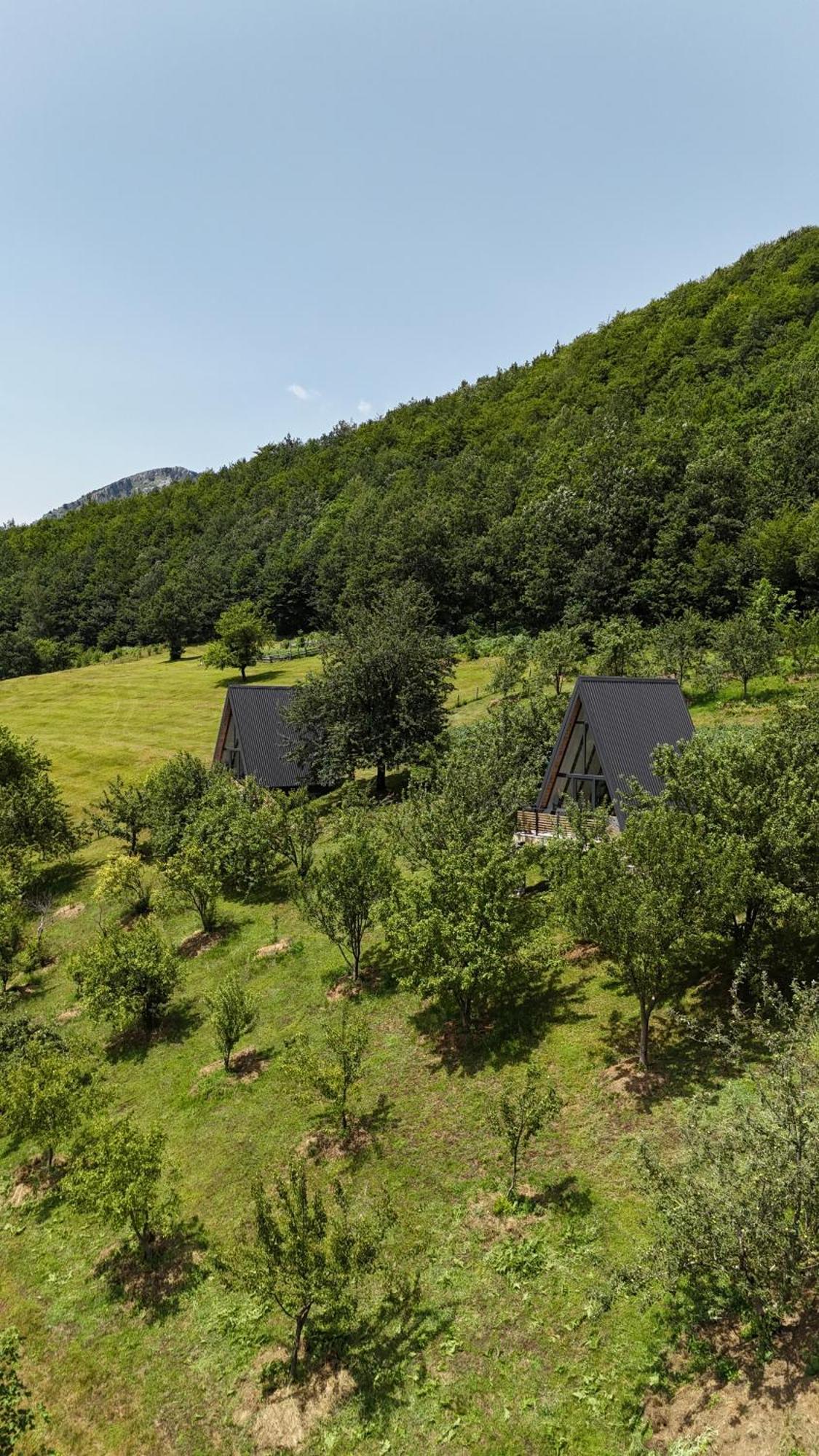 Fern Farm Tiny Home モイコヴァツ エクステリア 写真