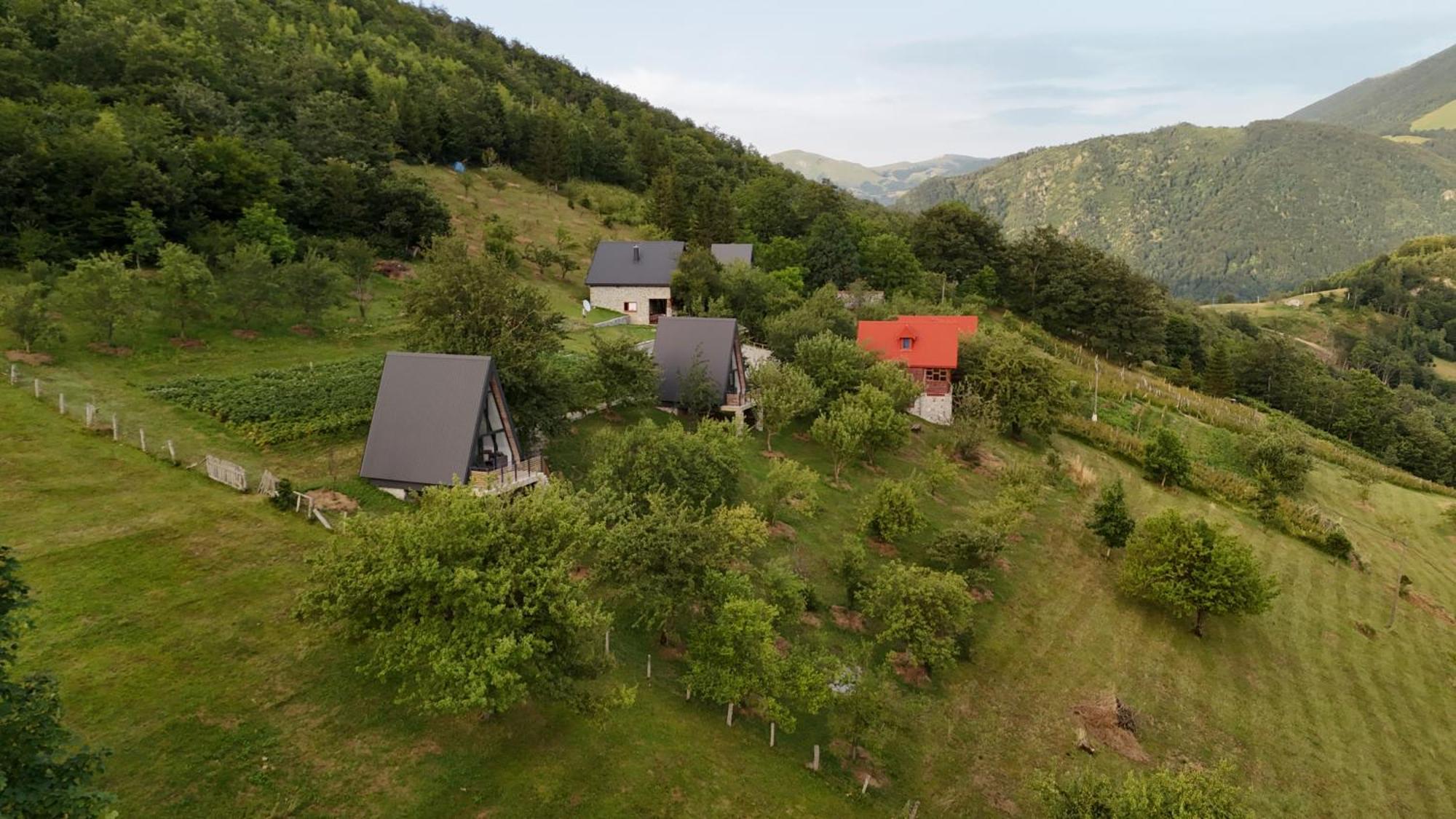 Fern Farm Tiny Home モイコヴァツ エクステリア 写真