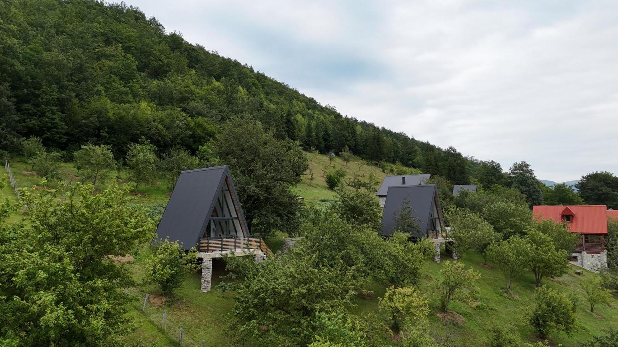 Fern Farm Tiny Home モイコヴァツ エクステリア 写真