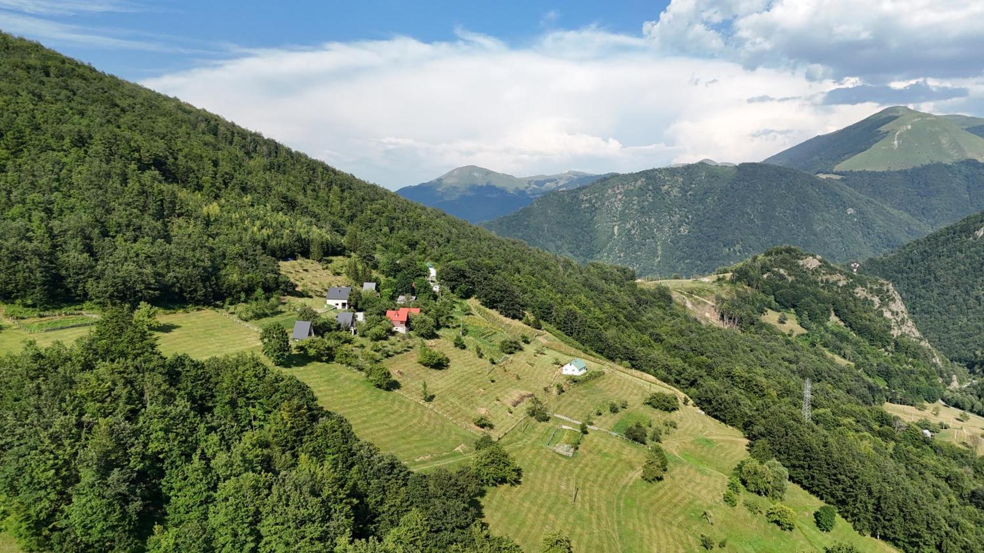 Fern Farm Tiny Home モイコヴァツ エクステリア 写真