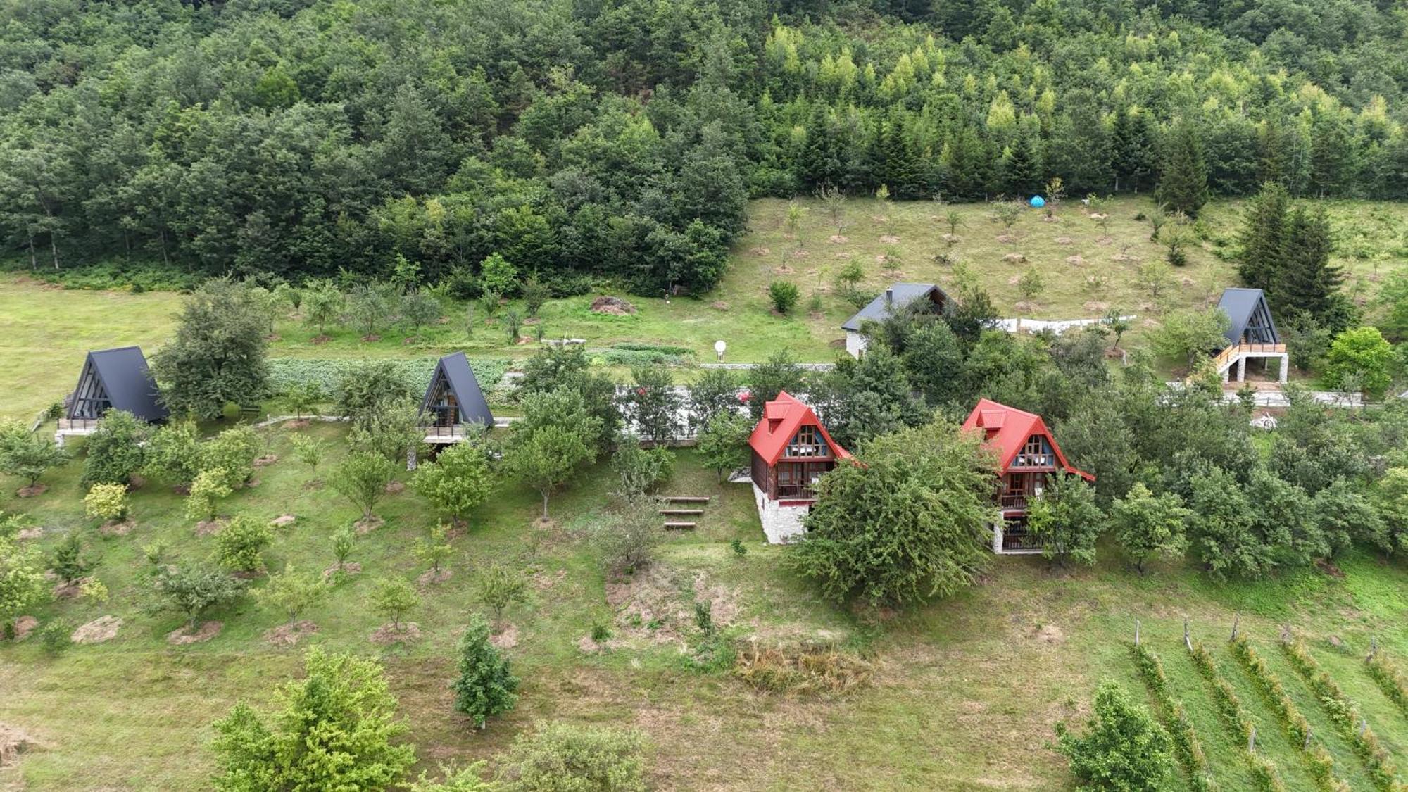 Fern Farm Tiny Home モイコヴァツ エクステリア 写真