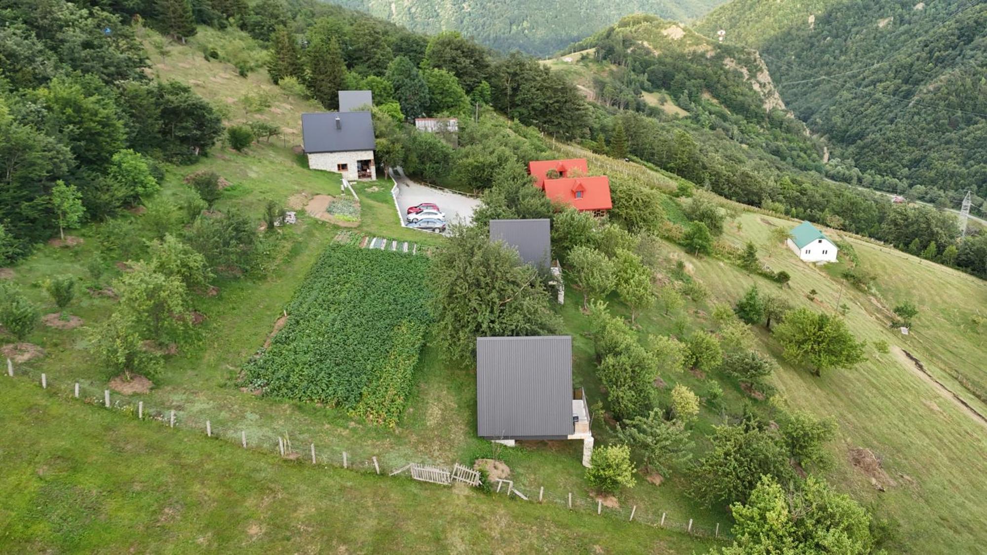 Fern Farm Tiny Home モイコヴァツ エクステリア 写真